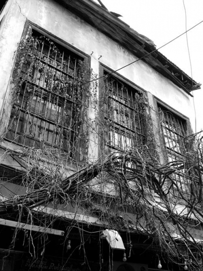 housing condition in damascus