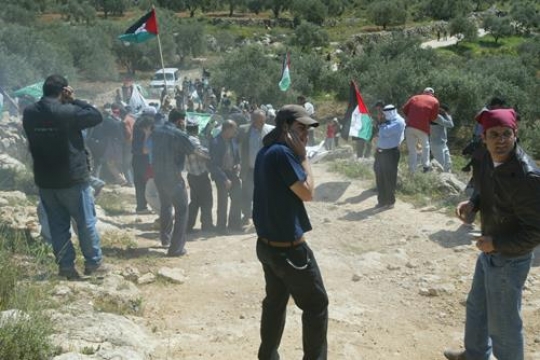 Palestinian youth fighting