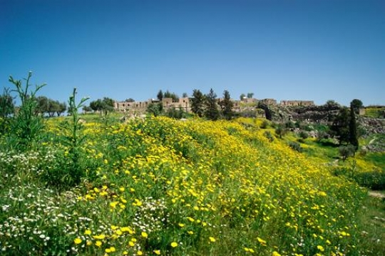 umm qais,gadara city north-west of Jordan