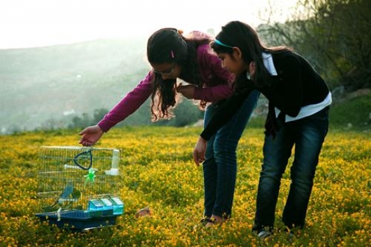 two little girl with birdcage in the meadow,iraq alameer