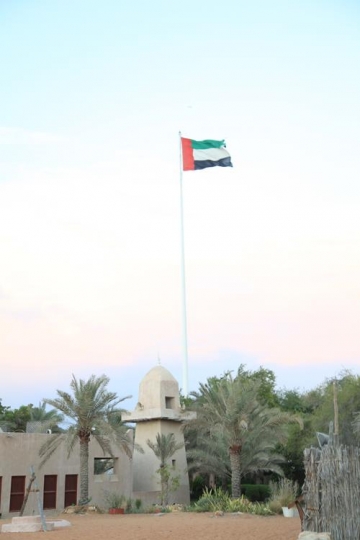 flag on top of a traditional house