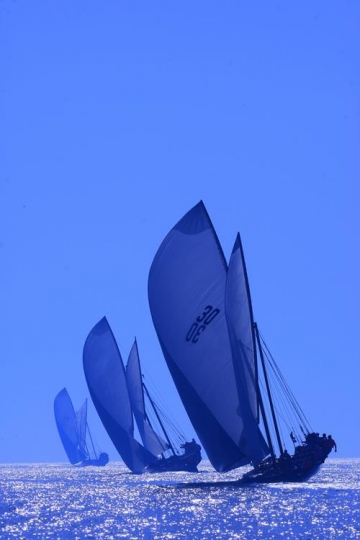 sailing boats sport