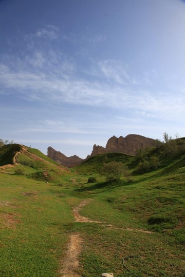 a walkthrough field of grass and rocks