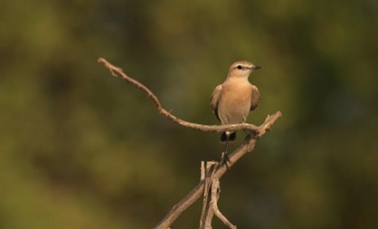 f93d7528-784c-4ddd-adad-9af0d3acad44