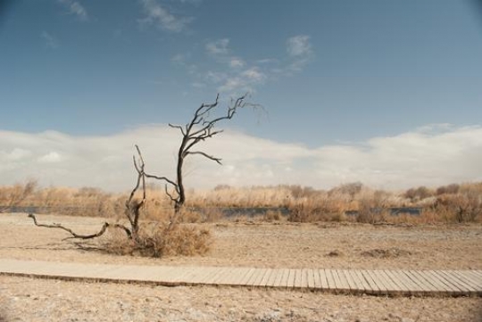 Azraq Wetland Reserve