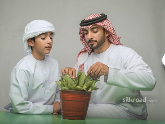 Father and son checking plant