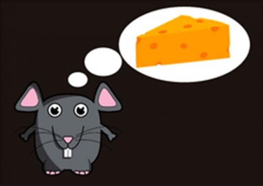 hungry mouse