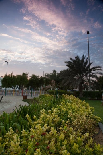 fd1b27da-c859-45de-9820-e8f89badd309