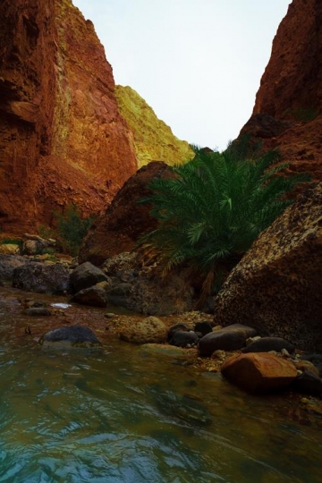 Hammamat Main, near the Dead Sea, known as the hot springs of Callirhoe, Jordan