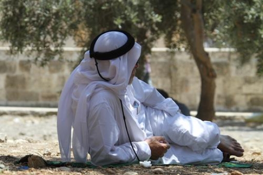 Oldman Resting Under his Olive Tree