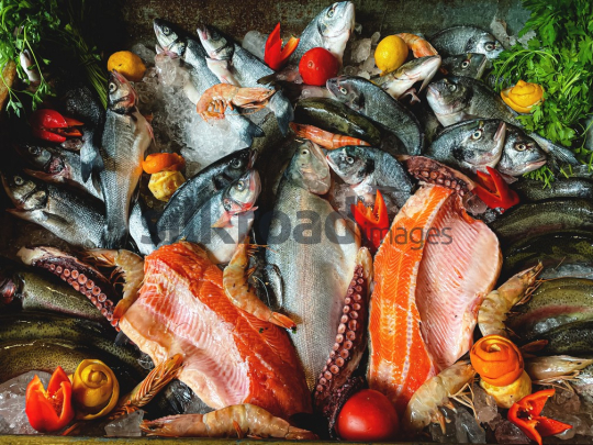 Fresh Seafood Display with Fish, Shrimp, and Octopus on Ice