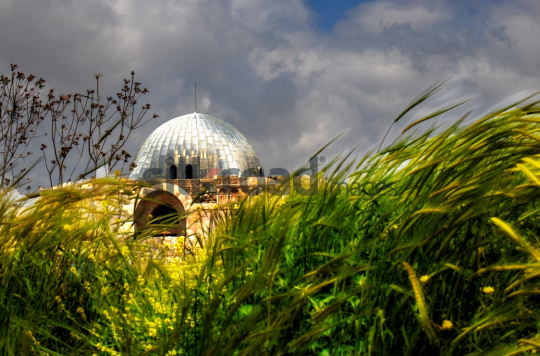 Greenery Framing the Dome of Umayyad Palace at Amman Citadel