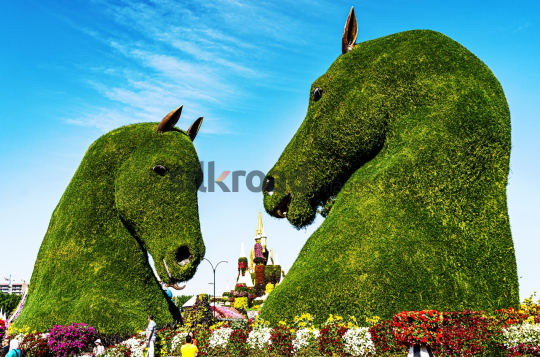 Majestic Floral Horse Sculptures at Dubai Miracle Garden