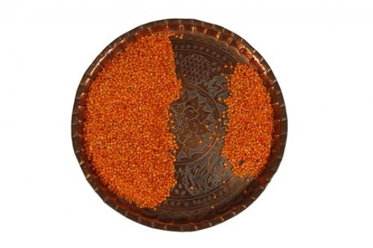 Lentils in Plate
