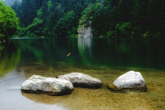 Peaceful Green Lake Surrounded by Lush Forest and Rocks