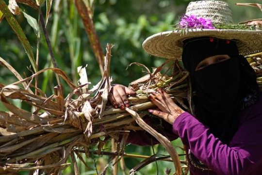Yemeni Woman