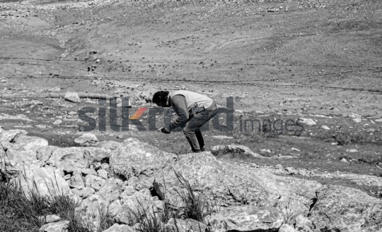 Shepherd Photographing Sheep Near a Fence in the Mountains