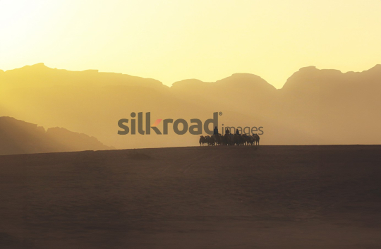 Silhouette of Camel Riders Against Wadi Rum Desert Sunset in Jordan