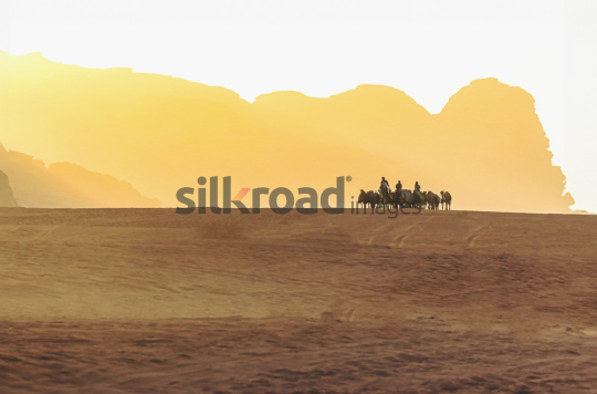 Silhouettes of Camel Riders in Wadi Rum Desert at Sunset, Jordan