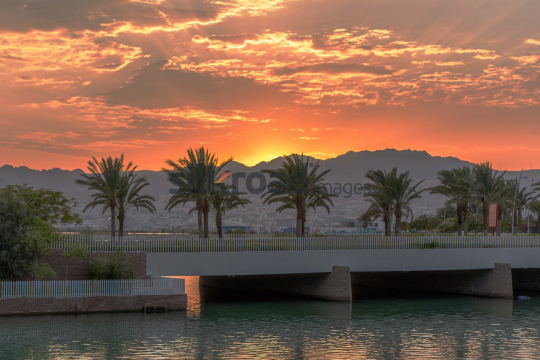 Sunset over Aqaba Beach with Palm Trees and Mountain Views