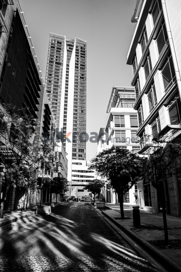 Tall Building in Al Abdali Boulevard with Autumn-Colored Trees Lining the Road