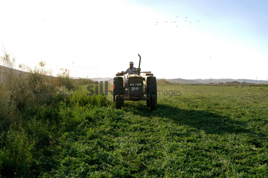 Tractor Working on Farm Field in Hashimiah, Jordan