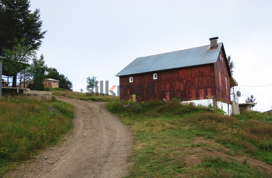 Traditional Mountain House on a Dirt Path in the Turkish Countryside