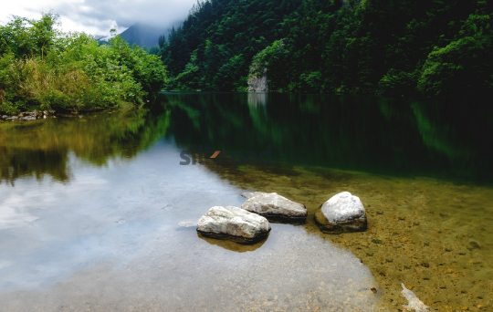 Tranquil Green Lake Surrounded by Lush Forest and Scenic Rocks