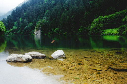 Tranquil Green Lake with Clear Water and Scenic Rocks in the Forest