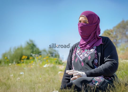 woman-garesa-traditionals-01