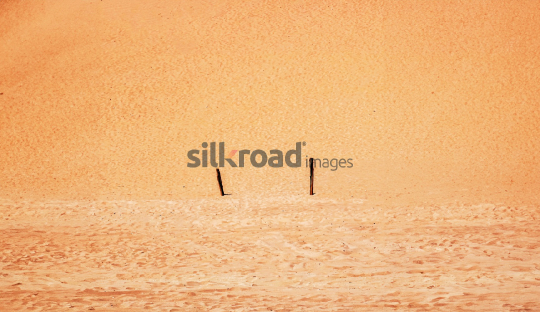 Wooden Sticks in the Wadi Rum Desert Sand