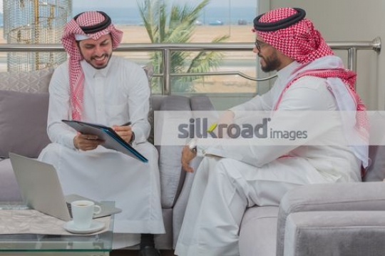 Arab employees having a Business meeting on the couch|